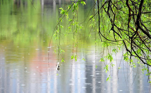 雨中的守护者 —— 武山珍珠棉的应用实践